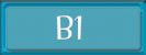 b1 b1